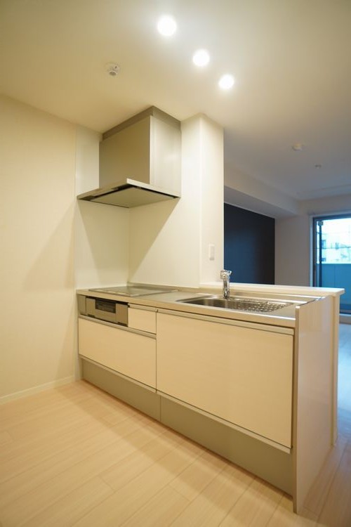 ヴィアーレ大成 203号-11