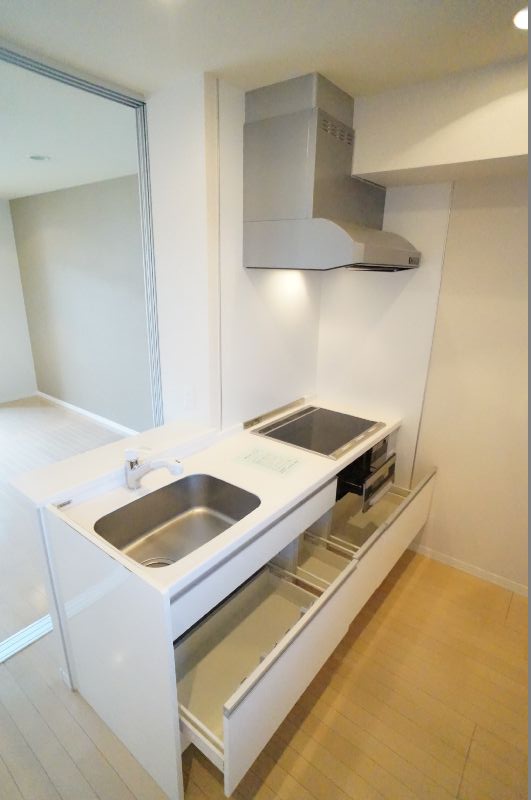 Ａｒｉａ－ｃａｓｔａ 203号-7