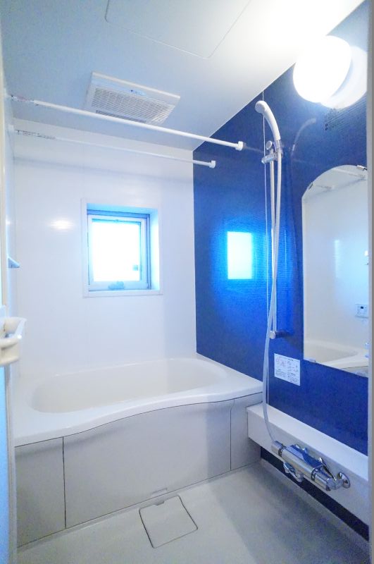 Ａｒｉａ－ｃａｓｔａ 203号-8