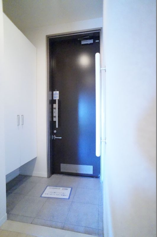 Ａｒｉａ－ｃａｓｔａ 203号-11