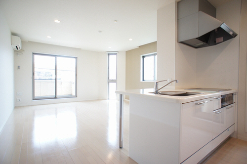 Ａｒｉａ－ｎｏｐｓ 216号-2