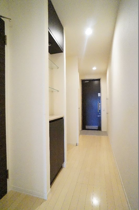 Aria-nops 313号-11