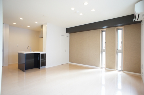 Aria-soleau 203号-2