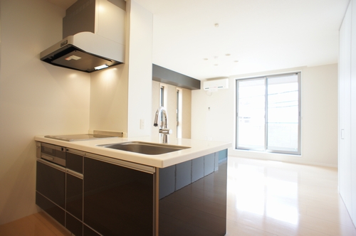 Aria-soleau 203号-4