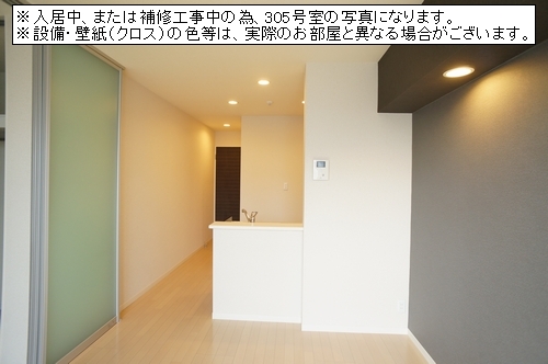 Princess Summer 303号-3