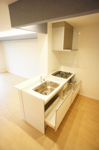 リラフォートイースト Ⅱ 303号-5