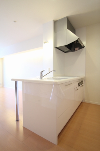 Well Fields 206号-5