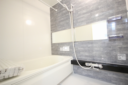 Ｆｅｌｉｓｅｅｄ 301号-10