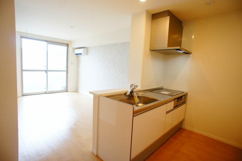 アンビエラ 102号-2