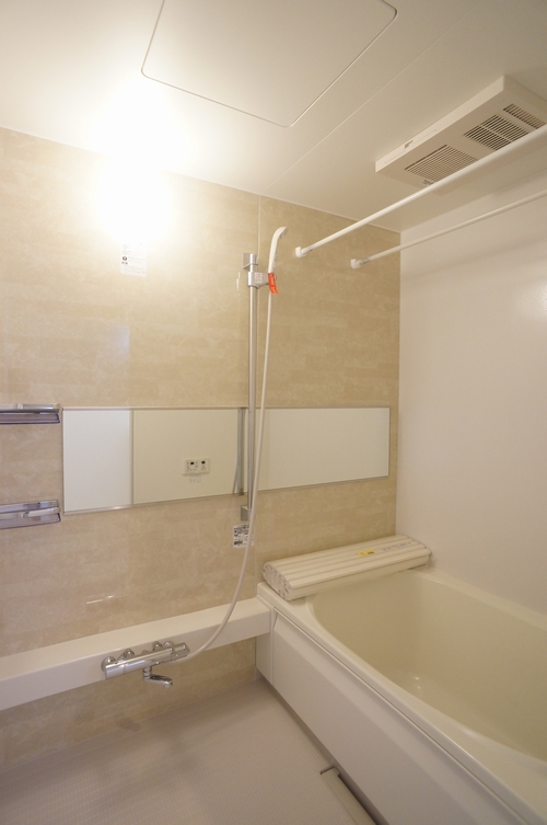 ブラウンハイムⅤ 102号-10