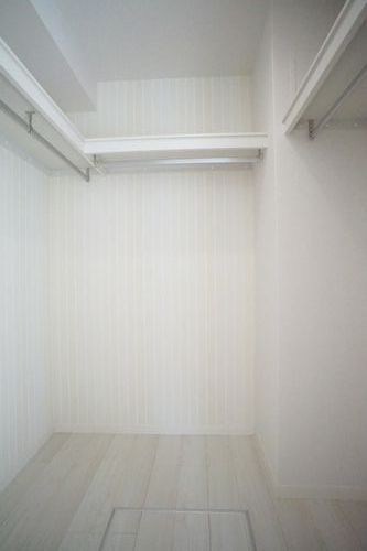 ファレノプシス アフロディテ 102号-6