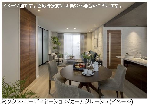 セルディーナ 102号-2
