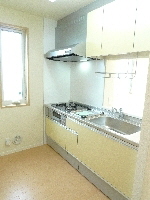 シャンゼリゼ 201号-6