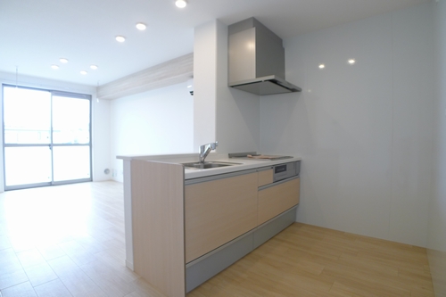 アルシオネ 203号-5