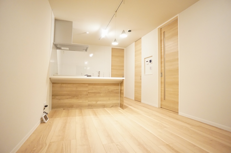 アネシス 205号-2