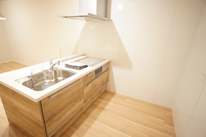 アネシス 205号-3