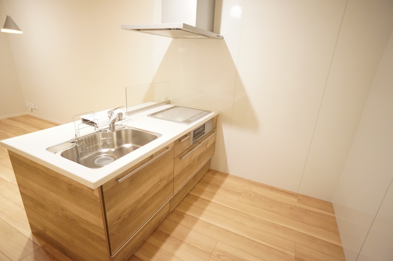 アネシス 305号-3