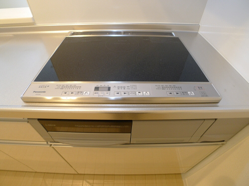 テラス フローラ 103号-4