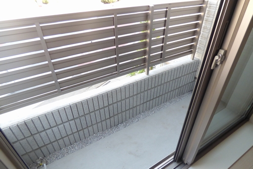 ドリーミオ 102号-6