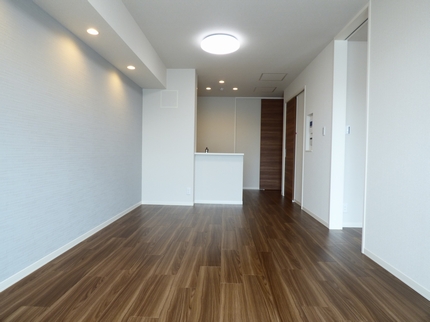 メゾンドキャプテン 303号-2