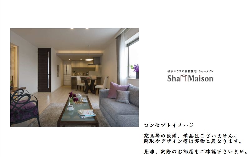 セルディーナ 303号-2