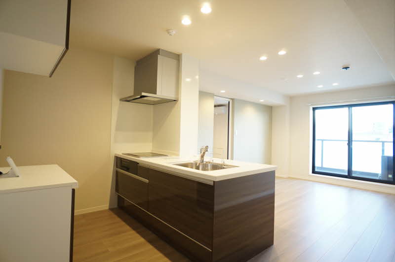 レオナ雅 303号-3