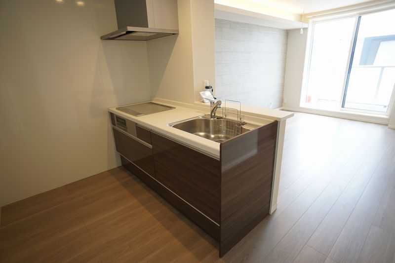 セレナ ヴィラ 302号-4