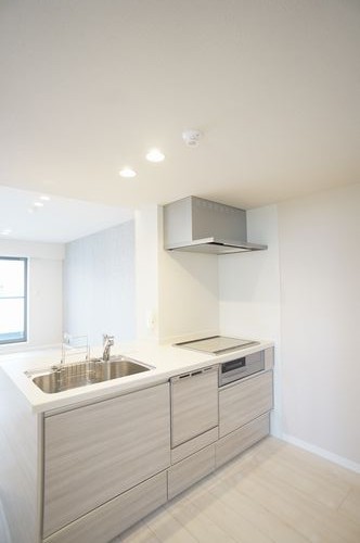 ルーエ清瀬 208号-12