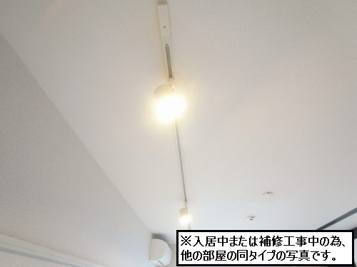 ショコラ 302号-7