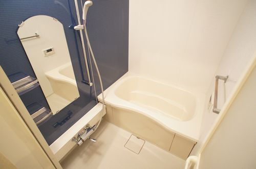 メゾン・ド・クレマティス 102号-8