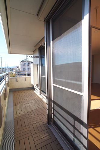Saiden Ⅱ 203号-7