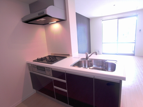 アメティスタ 203号-5