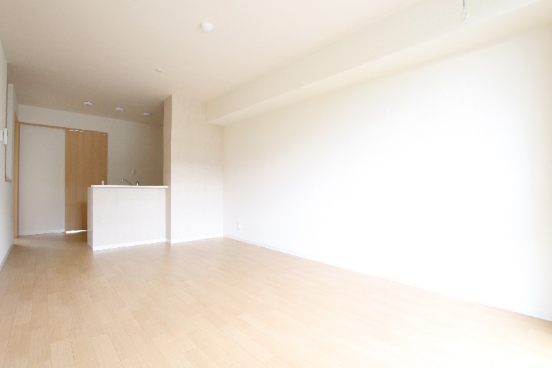 カーサ カスターニャA 103号-3