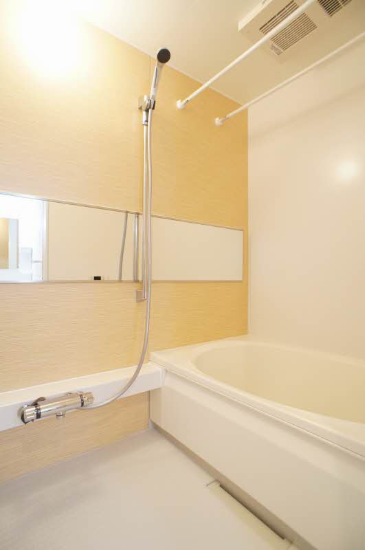 フェリス　Ⅱ 202号-8