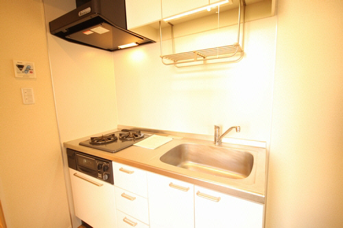 ラージ　フィールド 103号-4