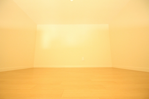 パレスエルクレアⅡ 203号-5