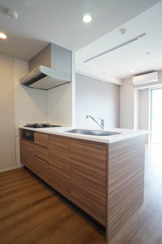 サンシャインヒルズ　１ 303号-4