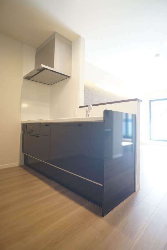 ｃｏｍｆａｒｍ　Ⅱ 204号-5