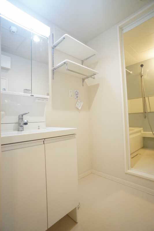 ホワイトヒルズ 301号-8