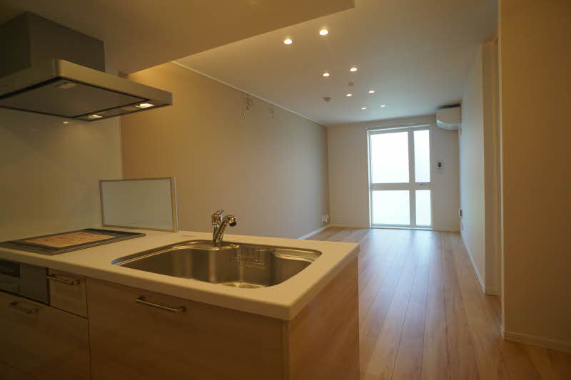 ヴィアソーレ 301号-11