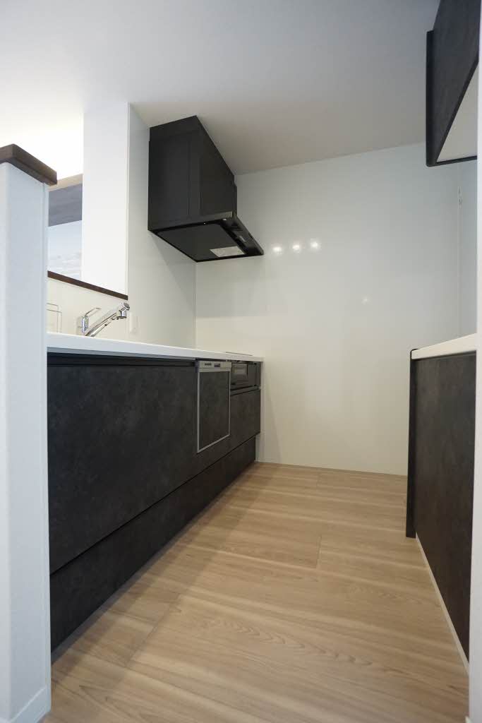 アピオン 205号-4