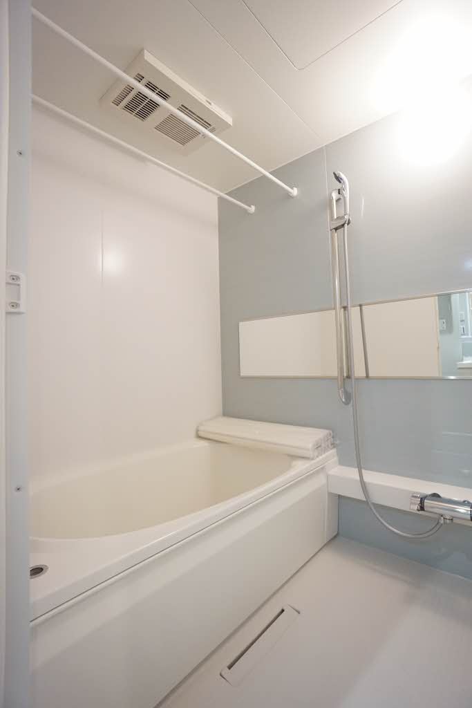 アピオン 301号-6