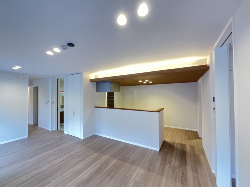 リリーフィア 102号-2