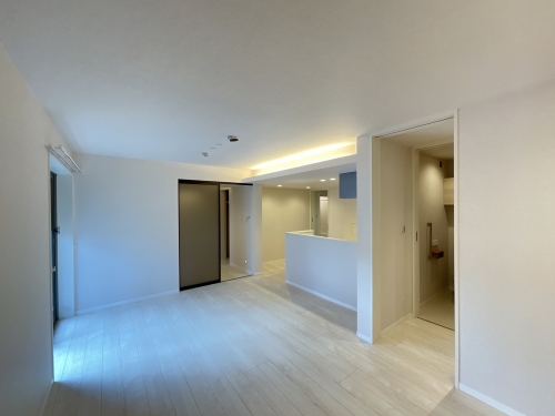 リリーフィア 103号-2