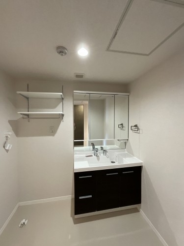 リリーフィア 302号-8