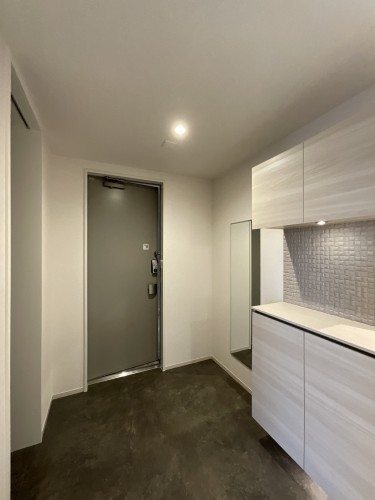 リリーフィア 303号-10