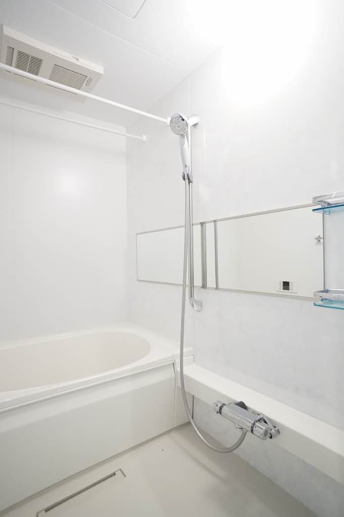 サティス・ヴィータ 301号-8