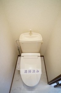 ヒルサイド三山 205号-11