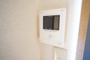 ディアス諏訪 D 201号-8