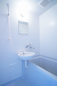 セルリアン 102号-5